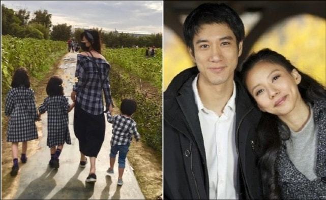 李靚蕾的家世背景深度解析，李靚蕾家世背景深度探究