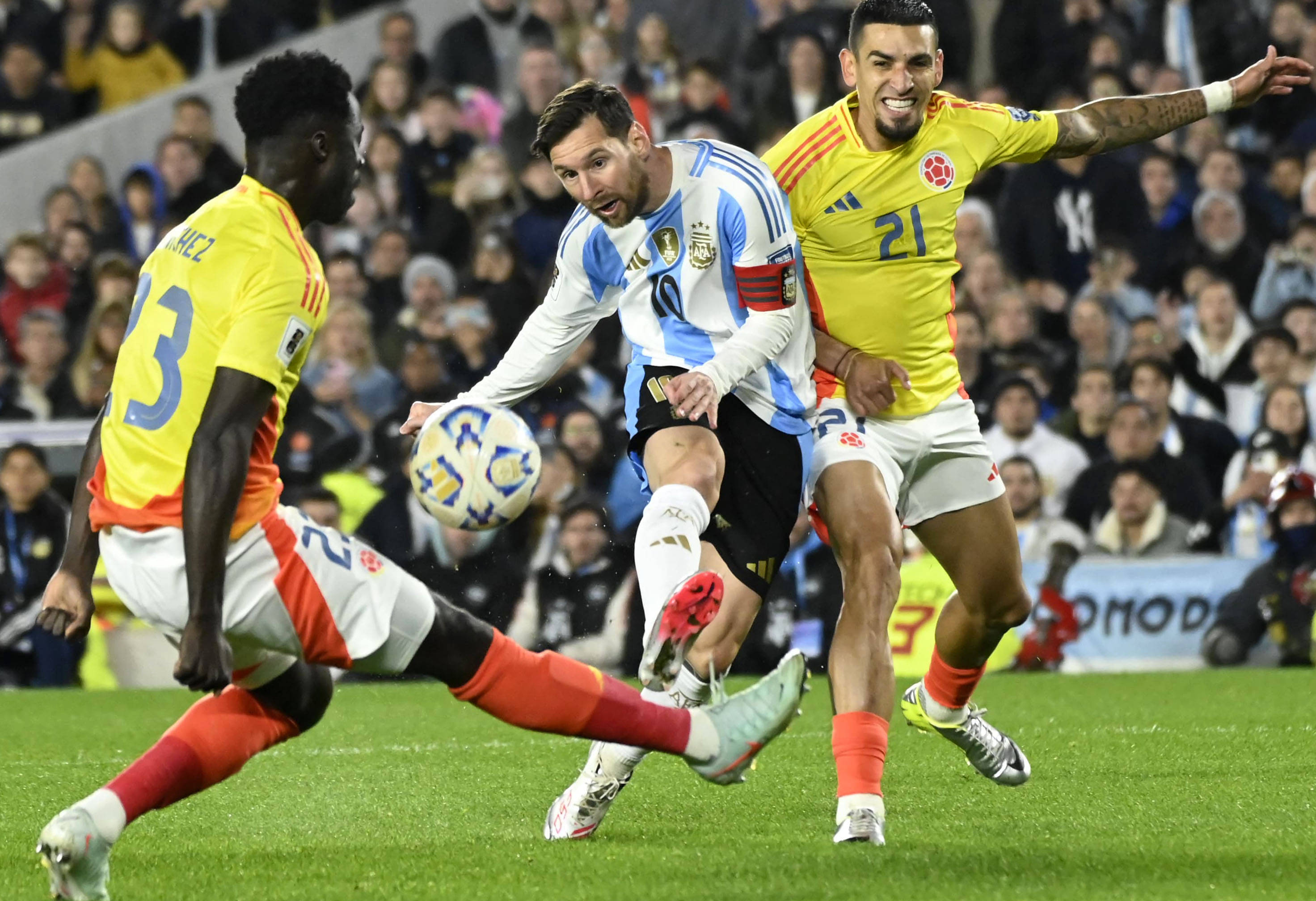 王中王一肖，揭秘碼一特一中的奧秘，揭秘王中王一肖特一中奧秘的真相