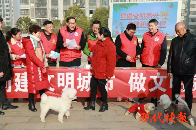 急先鋒澳門六肖，深度解析與探索，澳門六肖急先鋒，深度解析與探索