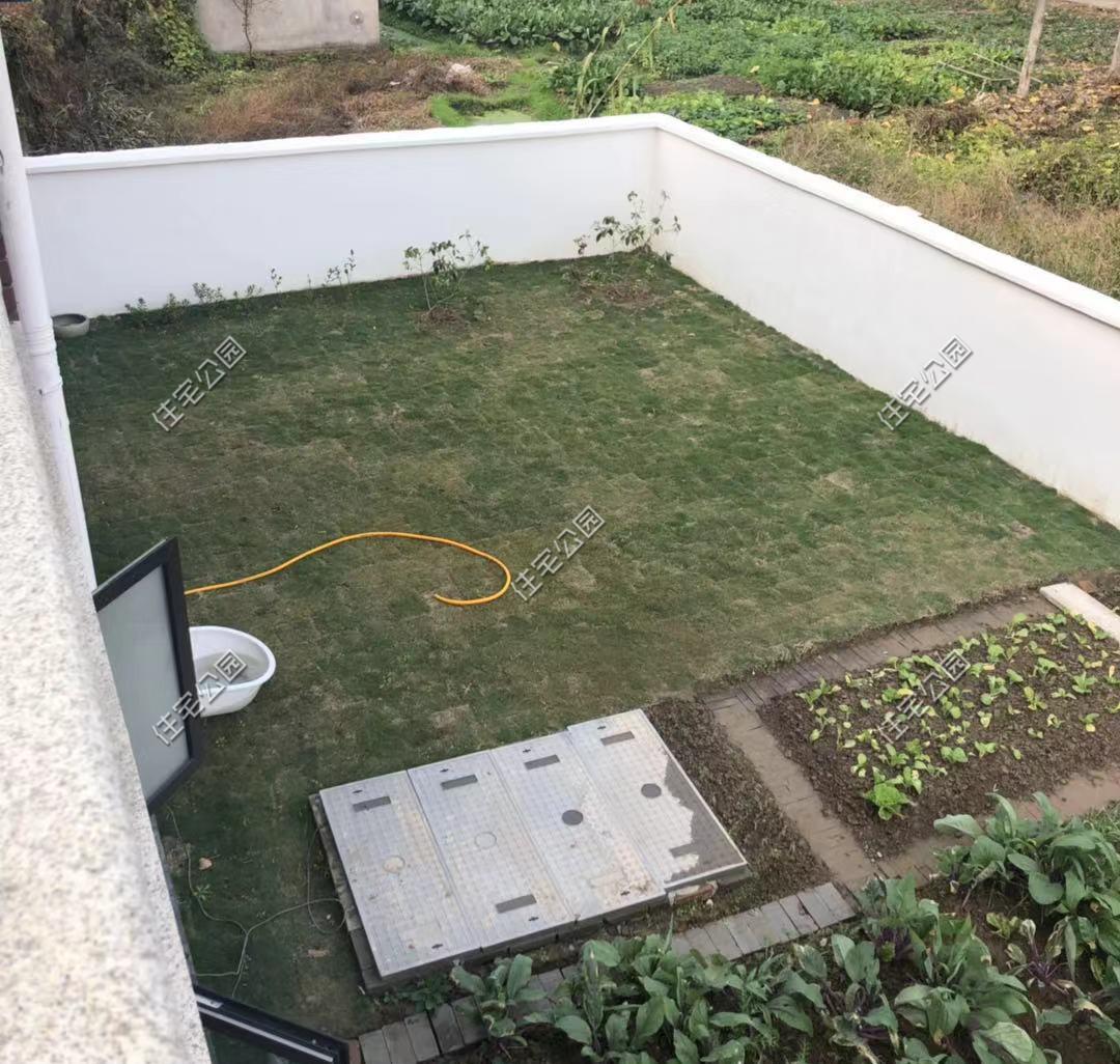 一肖中2碼，揭秘彩票背后的秘密與策略，揭秘彩票背后的策略與秘密，一肖中兩碼解析