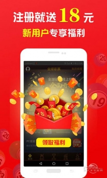 關于王中王中特免費一肖的探討，王中王中特免費一肖，深度探討與解析