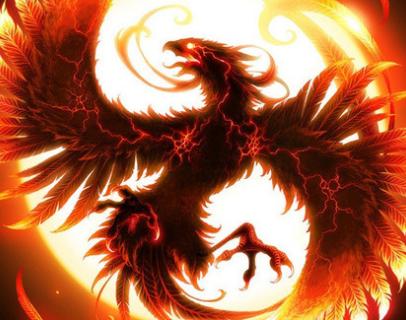 王中王精準(zhǔn)一肖中鳳凰，揭秘預(yù)測(cè)之謎，揭秘王中王精準(zhǔn)預(yù)測(cè)一肖中鳳凰的奧秘