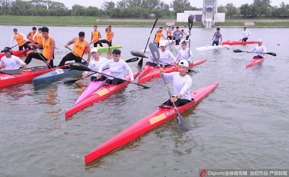 王中王一碼一肖免費(fèi)公開，揭秘精準(zhǔn)預(yù)測(cè)的秘密，揭秘王中王一碼一肖精準(zhǔn)預(yù)測(cè)的秘密，免費(fèi)公開揭秘！