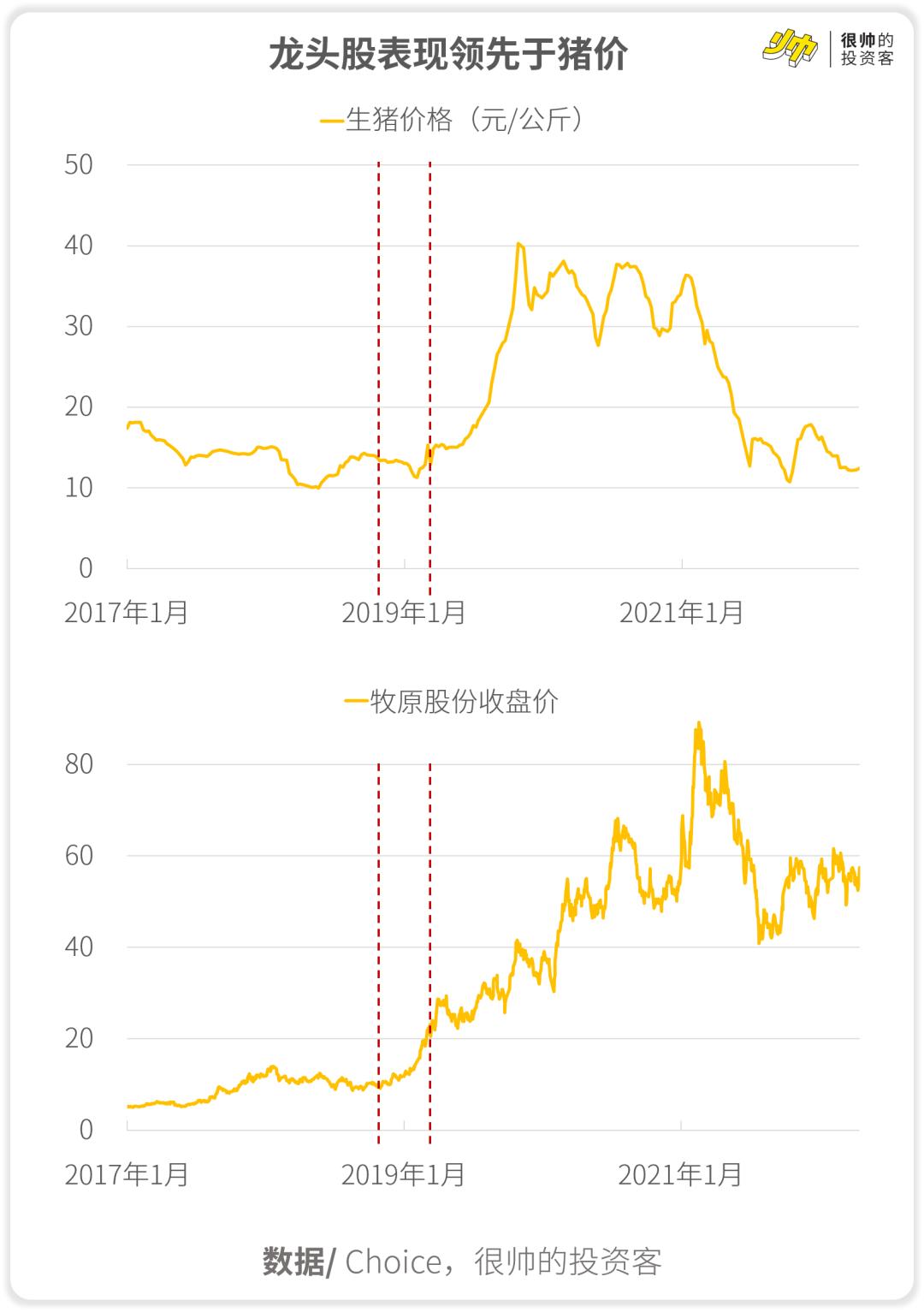 牧原股份股票行情深度解析，牧原股份股票行情全面深度解析
