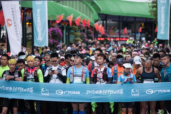 一肖平特王中王，揭秘彩票背后的秘密與策略，揭秘彩票背后的秘密與策略，一肖平特王中王之選