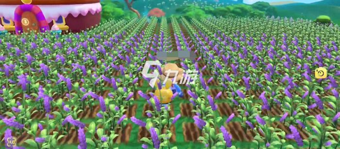 摩爾莊園紫羅蘭種子，種植與優(yōu)化的SEO策略，摩爾莊園紫羅蘭種子種植與SEO策略優(yōu)化指南