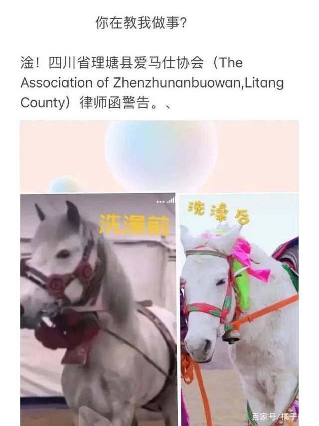 一馬爆特圖，揭秘背后的故事與SEO優(yōu)化策略，揭秘一馬爆特圖的背后故事與SEO優(yōu)化策略全攻略