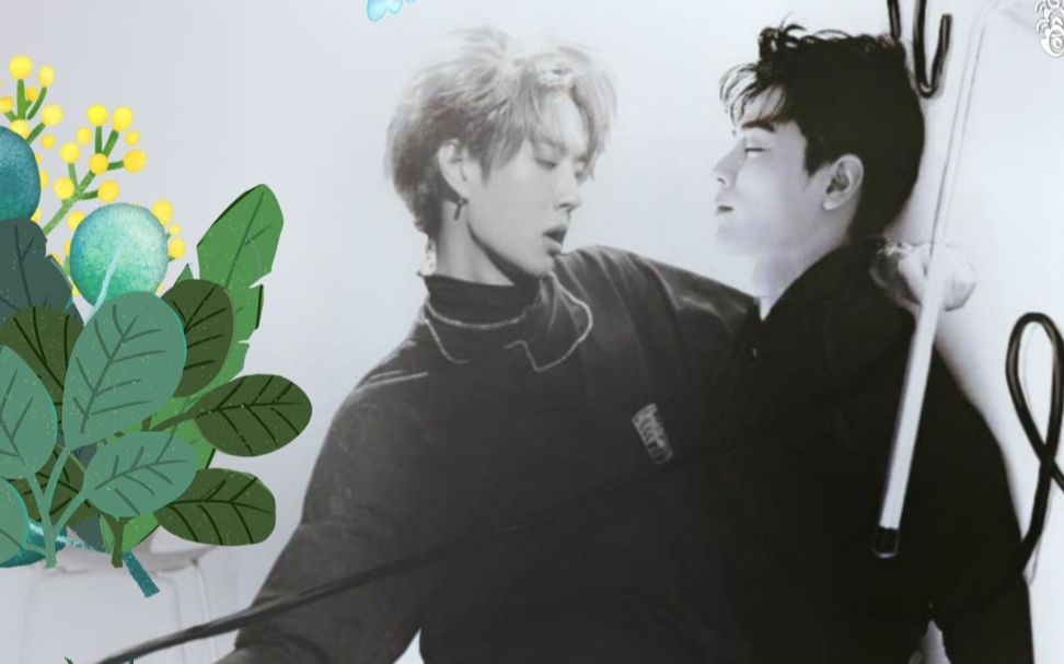 關(guān)于白小王中王一肖中特的SEO文章，王一肖SEO秘籍，白小王中王的關(guān)鍵優(yōu)化策略