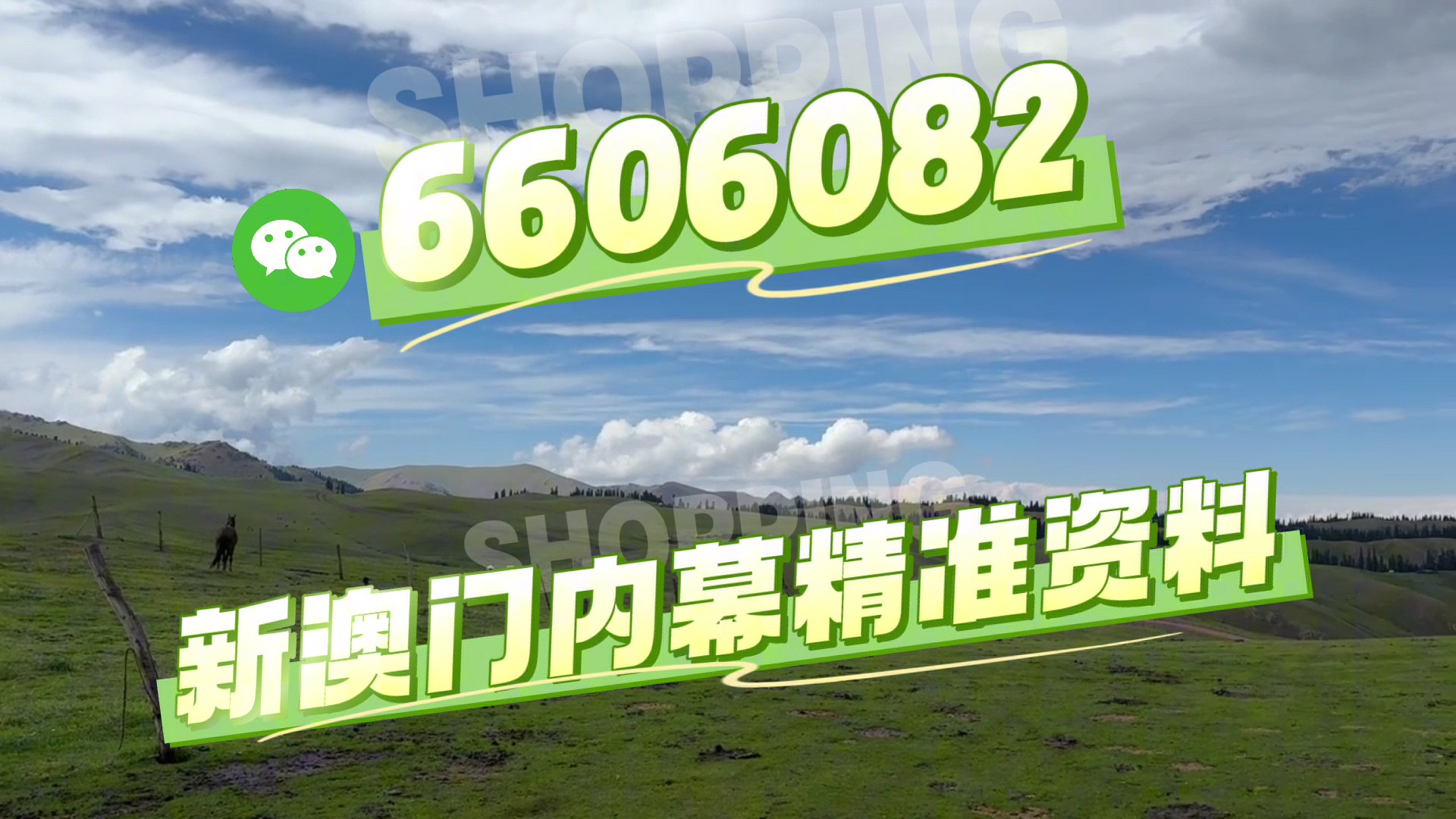 最快澳門今晚必中一肖一碼2025王中王開獎十，揭秘彩票背后的秘密與策略，揭秘彩票背后的秘密與策略，澳門今晚必中一肖一碼王中王開獎預(yù)測（2025年）