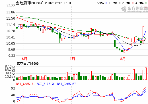 關(guān)于600383的最新消息全面解析，600383最新消息全面解析