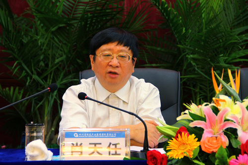 王中王資科一肖中持天，深度解析與SEO優(yōu)化策略，王中王資科一肖中持天深度解析與SEO優(yōu)化策略探討