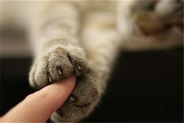 腦萎縮最佳治療方法，探索與理解，腦萎縮最佳治療方法，探索、理解與應(yīng)對(duì)