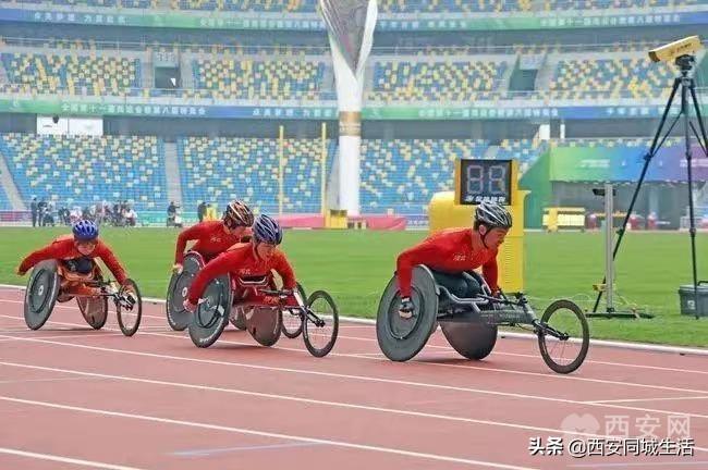 澳門精準預測與免費大全，探索未來的新澳門（2025展望），澳門未來展望，精準預測與免費大全（2025年展望）