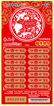 揭秘2020王中王平特一肖的神秘面紗，揭秘王中王平特一肖，神秘面紗下的真相