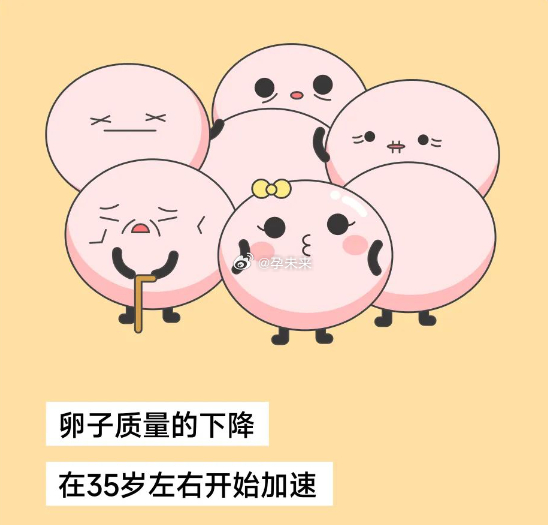 女性卵子質(zhì)量差的表現(xiàn)及其影響，女性卵子質(zhì)量差的表現(xiàn)及其后果