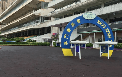 新澳門一肖一馬一特一中，探索與解析，澳門新玩法探索與解析，一肖一馬一特一中揭秘