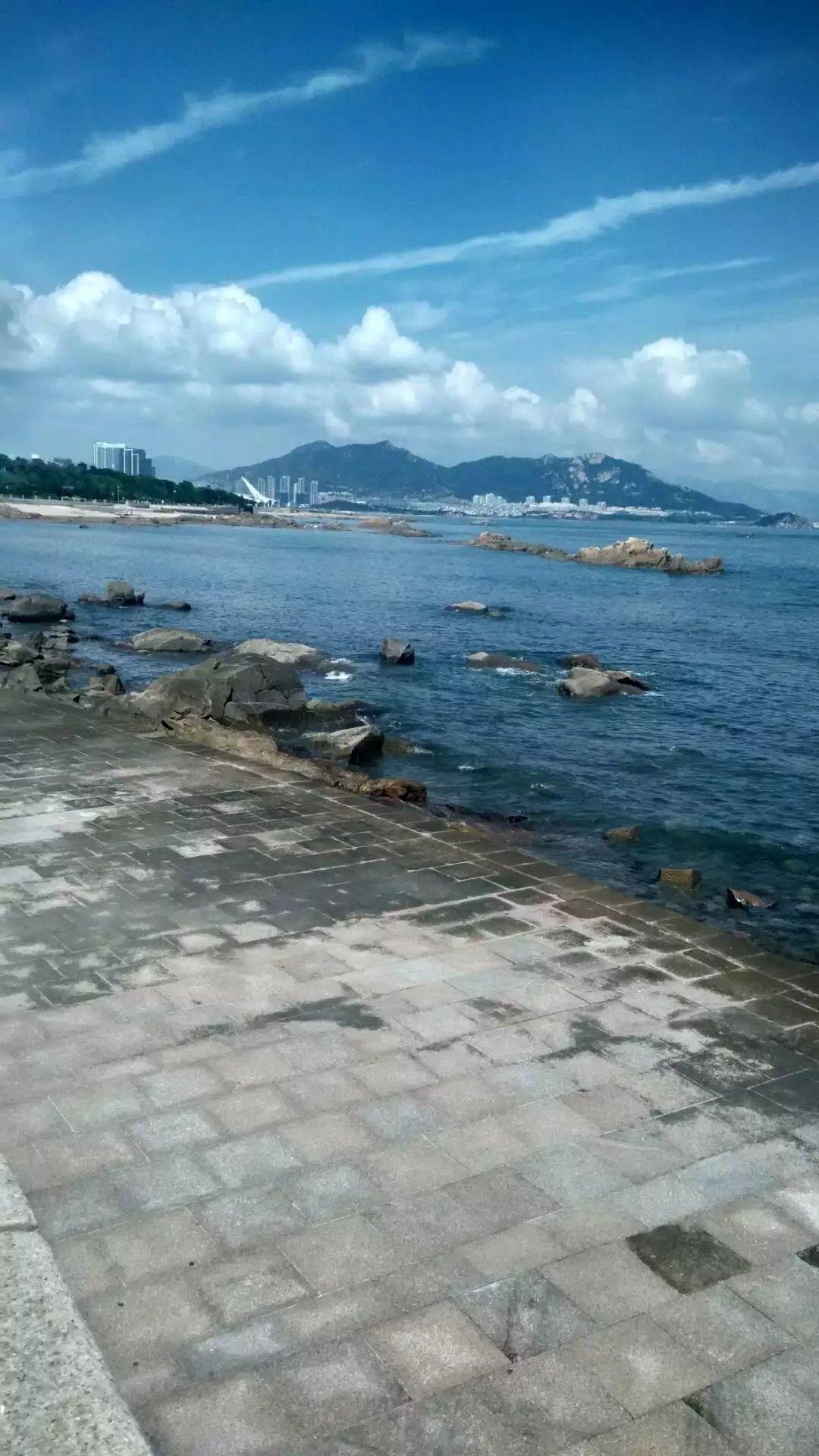 青島極地海洋世界門票免費(fèi)嗎？——深度解析與攻略，青島極地海洋世界門票免費(fèi)政策解析及游玩攻略