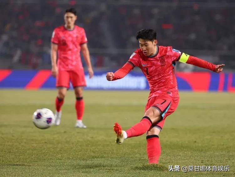 王中王獨一特肖，揭秘背后的故事與SEO奧秘，揭秘王中王獨一特肖背后的故事與SEO奧秘之道