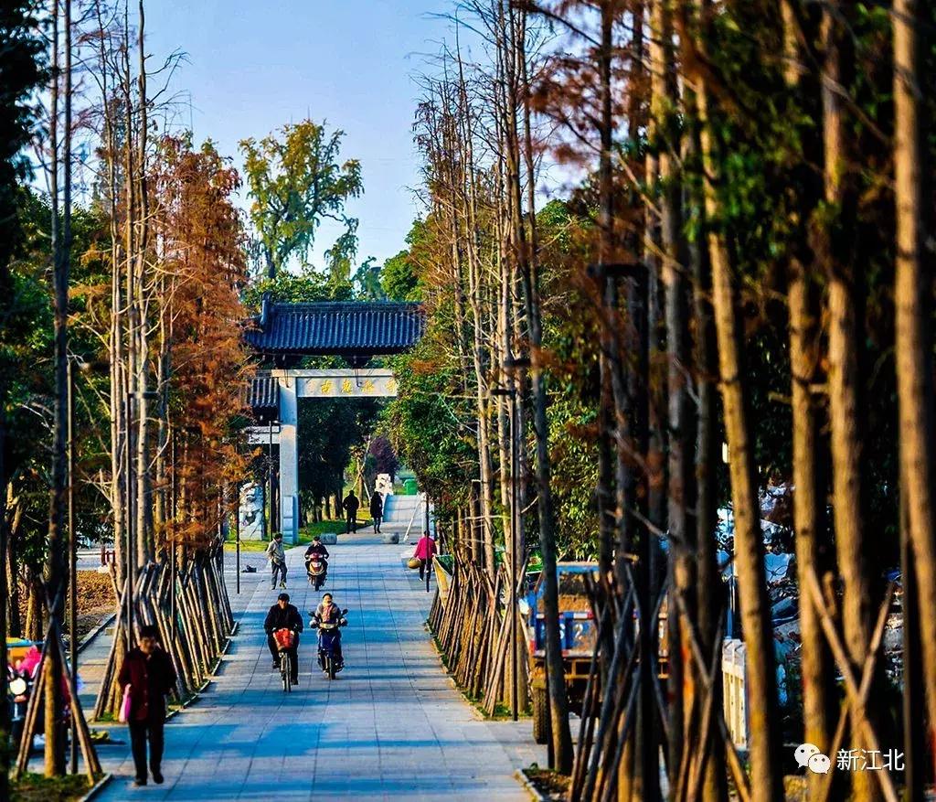 劉伯溫騎馬打一生肖，傳奇故事與生肖運(yùn)勢(shì)解讀，劉伯溫傳奇故事與生肖運(yùn)勢(shì)解讀，騎馬打一生肖的奧秘