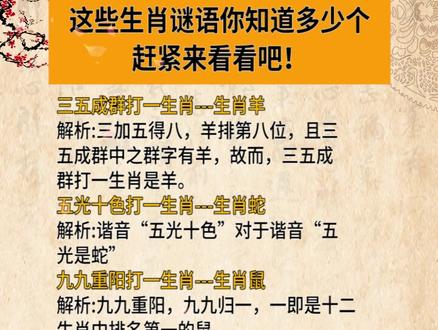 謎語(yǔ)王中王打一生肖——揭秘背后的神秘故事與生肖之謎，揭秘生肖之謎，謎語(yǔ)王中王背后的神秘故事與生肖解密