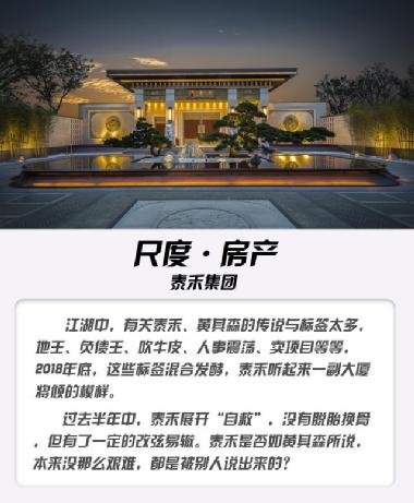 泰禾集團股吧，深度解析與前景展望，泰禾集團股吧，深度解析及前景展望