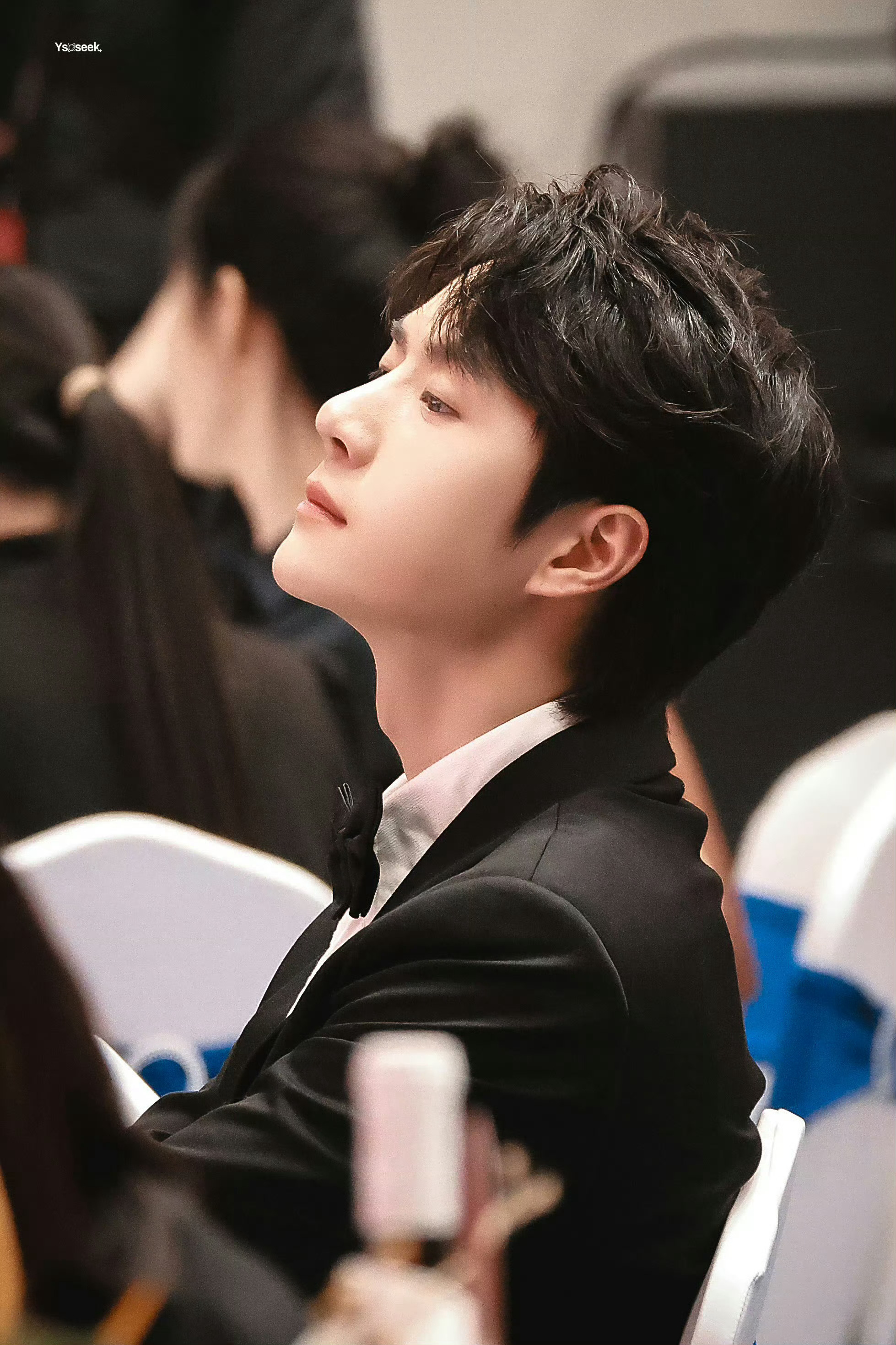 王中王一肖中特鐵算子，揭秘背后的秘密與策略，揭秘王中王一肖中特鐵算子的秘密與策略