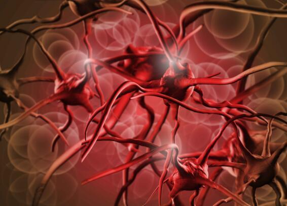 高血脂的五個表現(xiàn)癥狀及其重要性，了解、預(yù)防與治療，高血脂的五大表現(xiàn)癥狀，認(rèn)識、預(yù)防與治療的重要性