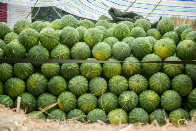 澳門一碼一肖預(yù)測，揭秘真相與風(fēng)險應(yīng)對，澳門一碼一肖預(yù)測揭秘，真相探索與風(fēng)險應(yīng)對策略