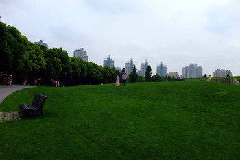 上海世紀公園是否需要門票？全面解析入園政策，上海世紀公園入園政策解析，門票需求與規(guī)定