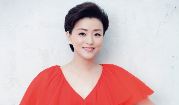 江蘇陽光股份股票，深度解析與前景展望，江蘇陽光股份股票深度解析及未來前景展望