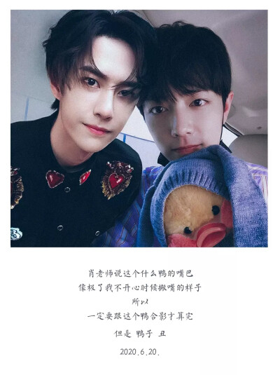 王中王一肖中特其其準(zhǔn)——探尋精準(zhǔn)預(yù)測的魅力，精準(zhǔn)預(yù)測的魅力，王中王一肖中特其其準(zhǔn)的探尋