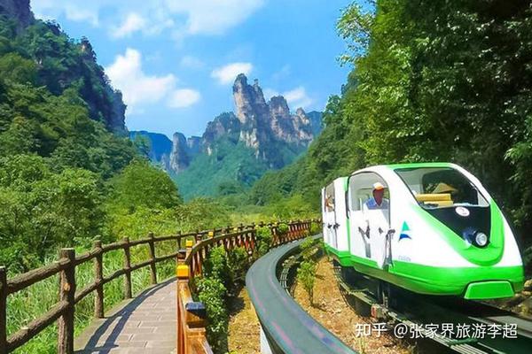 張家界森林公園一日游攻略，探索自然之美的完美行程，張家界森林公園一日游攻略，自然之美的完美探索之旅