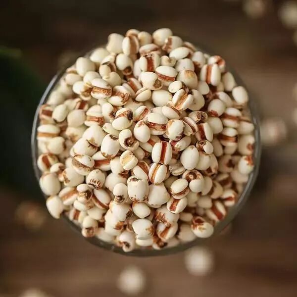 薏米，一種健康寶藏的神奇谷物，薏米，健康寶藏的神奇谷物