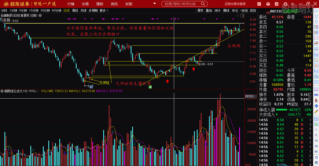 仙琚制藥股票（代碼，002332）深度解析，仙琚制藥股票深度解析（代碼，002332）