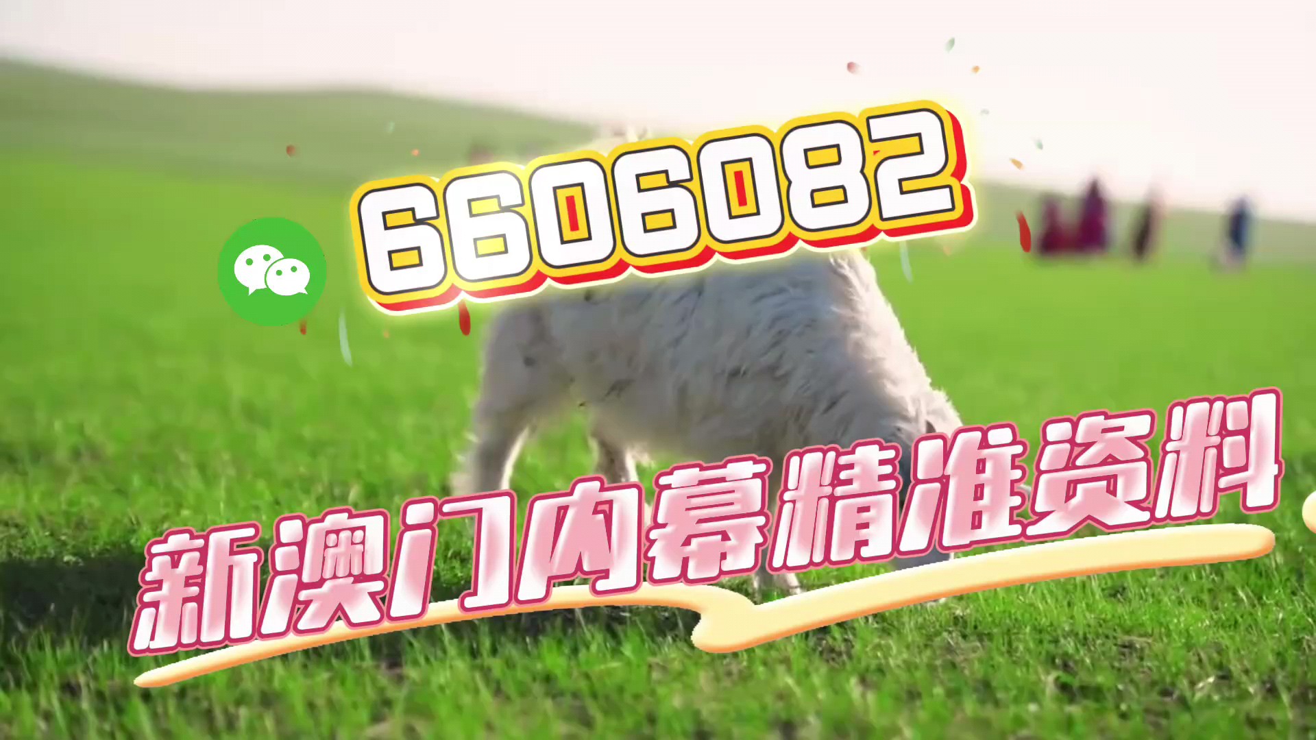 一肖中特免費(fèi)資料選一，揭秘彩票秘密，帶你走向成功之路，揭秘彩票秘密，一肖中特資料助你走向成功之路