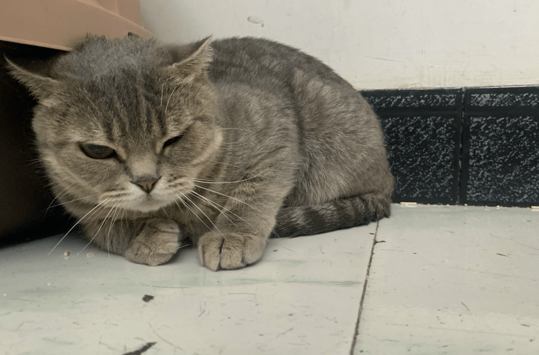 新聞咨詢 第17頁