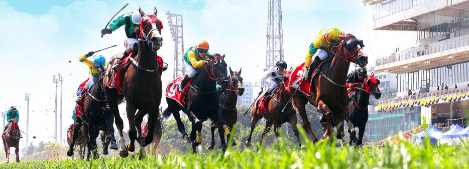 澳門賽馬會資料最準一碼，深度解析與最新資訊，澳門賽馬會資料解析，最新一碼與深度資訊匯總