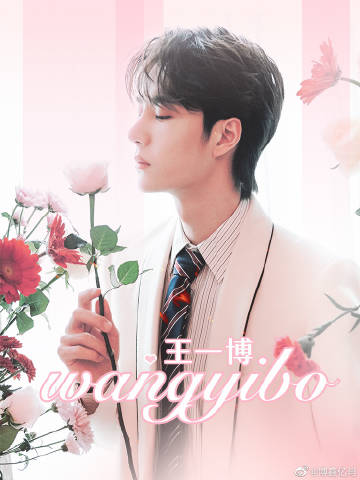 揭秘白小王中王一肖中特的神秘面紗——探尋背后的SEO奧秘，揭秘白小王中王一肖背后的SEO奧秘，探尋神秘面紗下的秘密