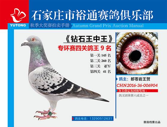 王中王一期一肖特中獎，揭秘彩票背后的秘密與策略，揭秘彩票背后的秘密與策略，王中王一期一肖特中獎解析