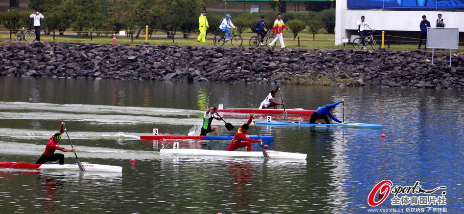 王中王一肖一馬期期中特，深度解析與SEO優(yōu)化策略，王中王一肖一馬期期中特深度解析與SEO優(yōu)化策略指南