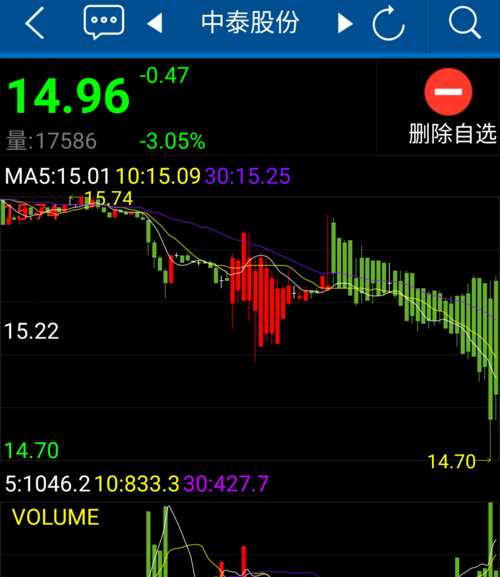 中泰股份股吧深度解析，投資潛力與未來發(fā)展展望，中泰股份股吧解析及投資潛力與未來發(fā)展展望