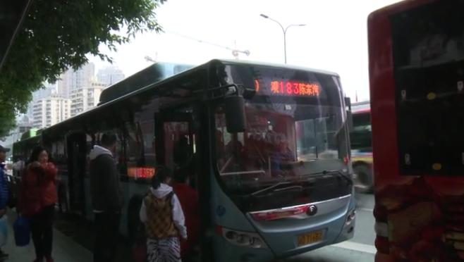 一肖買什么——揭秘最佳選擇與策略，揭秘生肖彩票最佳選擇與策略，一肖買什么？