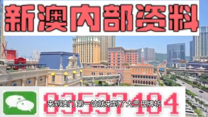 新澳新澳門正版資料，探索與解析，新澳新澳門正版資料深度解析與探索