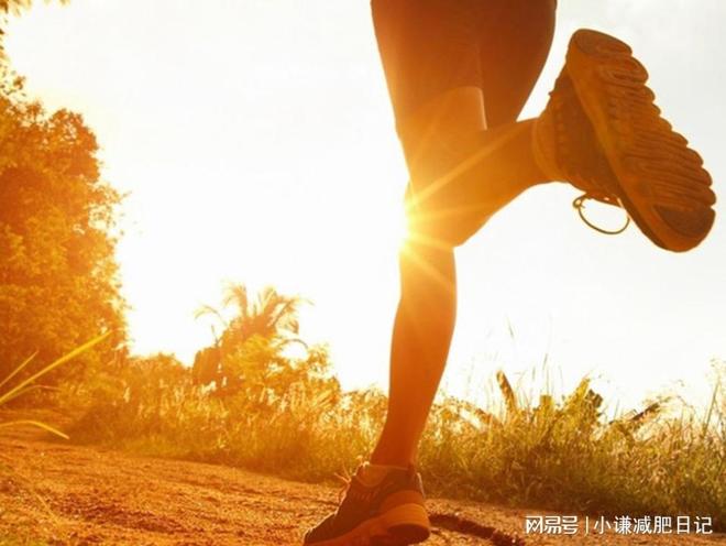 懶人福音！揭秘適合懶人的減肥秘訣，懶人福音，揭秘輕松減肥秘訣！