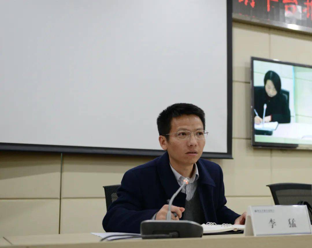 正版王中王一肖平碼圖——深度解析與探索，正版王中王一肖平碼圖深度探索與解析