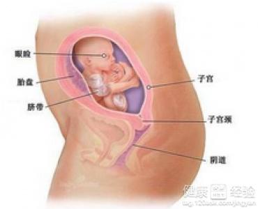 懷孕一個月，早期懷孕的注意事項與體驗，懷孕一個月，早期懷孕的注意事項及體驗分享