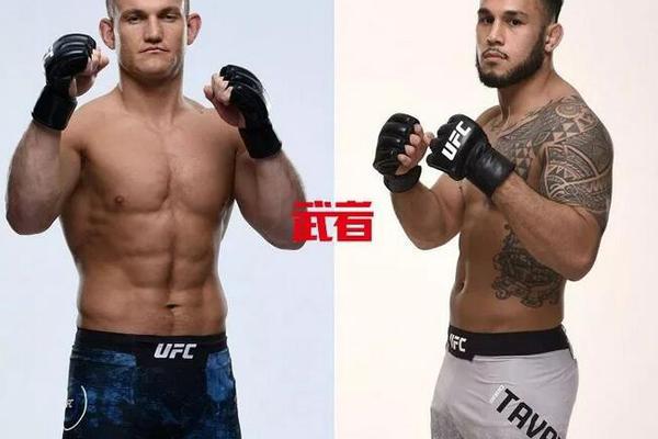 澳門六開獎(jiǎng)結(jié)果記錄圖，探索彩票背后的秘密，澳門六開獎(jiǎng)結(jié)果記錄圖揭秘彩票背后的秘密