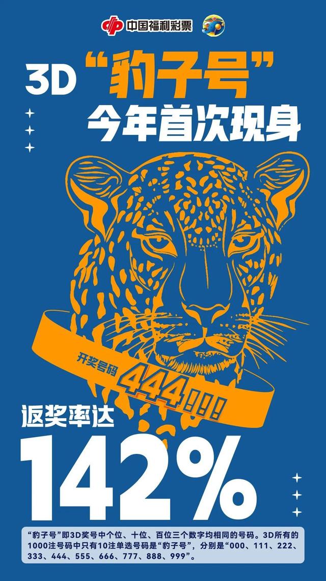 王中王金錢豹一肖中特，揭秘背后的神秘故事與SEO奧秘，揭秘王中王金錢豹背后的神秘故事與SEO奧秘