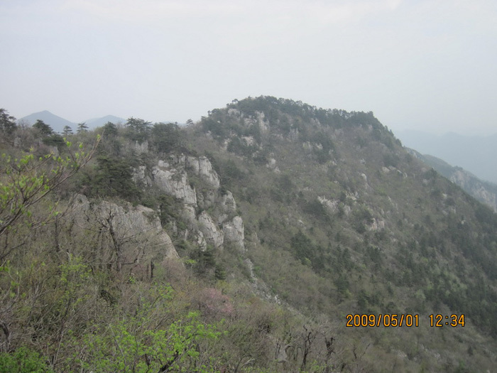 天目山風(fēng)景區(qū)，自然美景的瑰寶，天目山風(fēng)景區(qū)，自然美景的絕美瑰寶