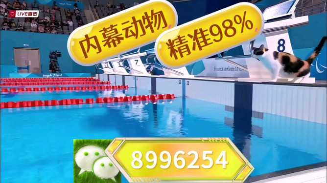 澳門(mén)王中王，揭秘期期中秘密，探尋博彩世界的新機(jī)遇，澳門(mén)王中王，揭秘博彩世界的新機(jī)遇與期期中秘密